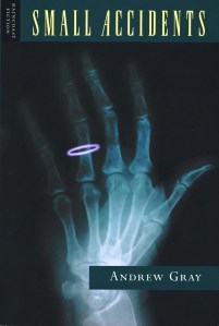 SmallAccidentsCover