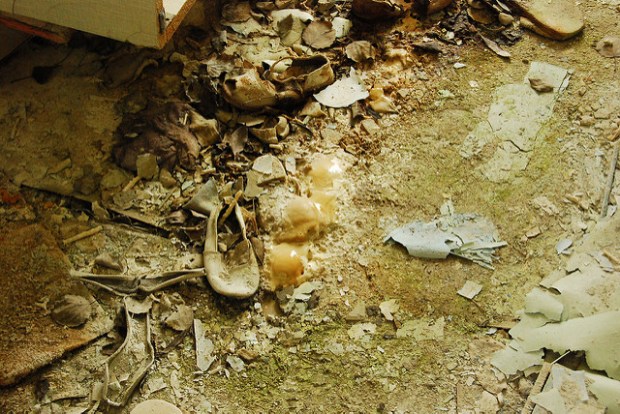 2518674322_b13a97c421_z